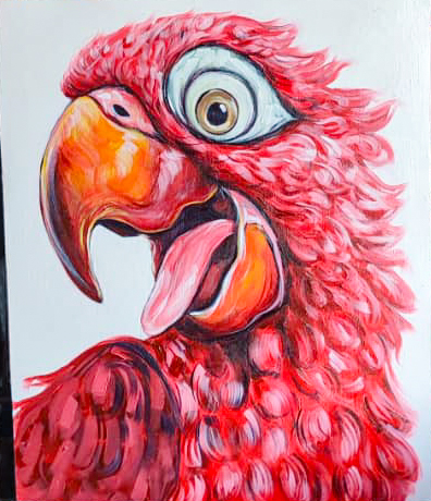 Pink Parot 